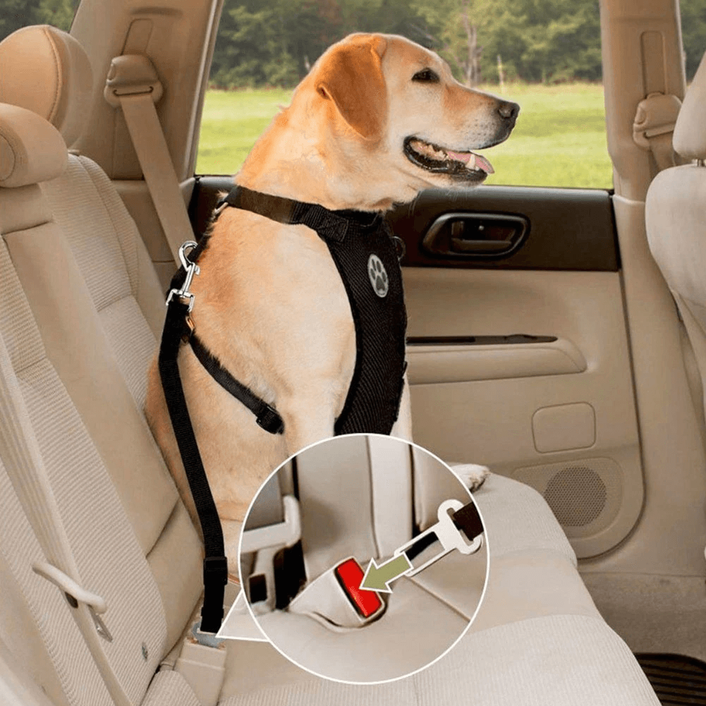 Hundbälte - Funkar till alla bilar